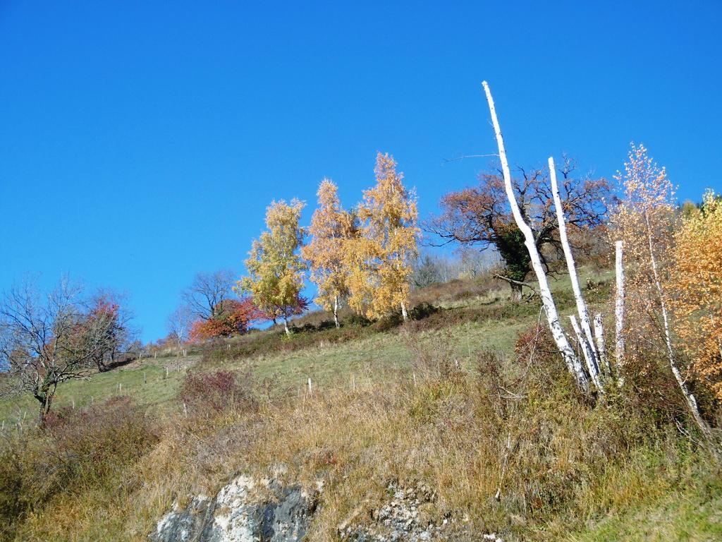Gite Au Coeur Du Chalet En Belledonne Vers Prapoutel Les 7 Laux Sainte-Agnès Rum bild